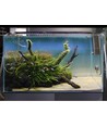 75-100 cm Aquariumleuchte - 19W LED, weiß/blau/rot/grün, einstellbare Länge, IP66