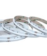 5m 20W/m RGB+WW COB-LED-Streifen - 24V DC, IP20, 784 LEDs pro Meter, COB LED