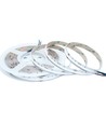 5m 20W/m RGB+WW COB-LED-Streifen - 24V DC, IP20, 784 LEDs pro Meter, COB LED