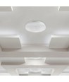 36W Smart Home Deckenlampe mit Sternenabdeckung - Kompatibel mit Amazon Alexa, RGB+CCT, Google Home