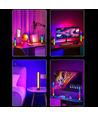 2 Stück RGBIC Ambient Light Bar - 32cm, Bluetooth