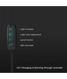 10W LED-RINGLICHT - 10 Zoll, mit Tischstativ, 3200K-5500K