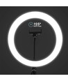 10W LED-RINGLICHT - 10 Zoll, mit Tischstativ, 3200K-5500K