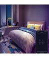 Elliptische RGBIC-Lampe - 25x15 cm, 10W, Fernbedienung, USB