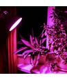 8W E27 Wachstumslampe - A60, Fito, 230V
