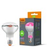E27 9W LED Pflanzenlampe - R80, 120°, 14 µmol/s, stimuliert das Wachstum