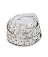 5m 7W/m RGB LED-Streifen Set - 12V DC, IP20, 60 LEDs pro Meter