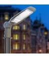 30W Straßenlaterne - Ø54, IP65, 5000K
