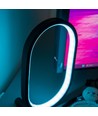 Elliptische RGBIC-Lampe - 25x15 cm, 10W, Fernbedienung, USB