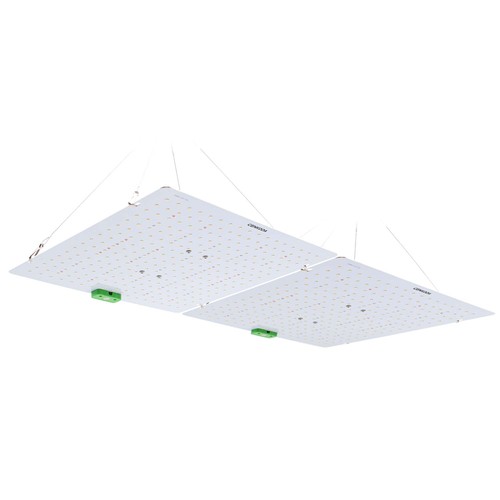 Quantum Wachstumsleuchte 180W - Inkl. Aufhängung, Vollspektrum, ohne Lüfter, IP65