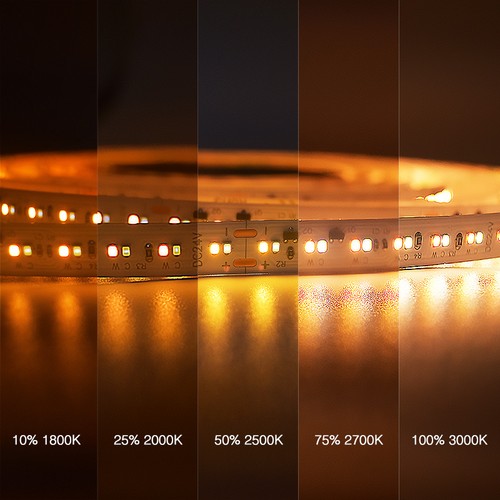 5m 17W/m DimToWarm LED-Streifen RA95 - 24V, IP20, 224 LEDs pro Meter