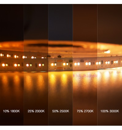 5m 17W/m DimToWarm LED-Streifen RA95 - 24V, IP20, 224 LEDs pro Meter