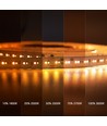 5m 17W/m DimToWarm LED-Streifen RA95 - 24V, IP20, 224 LEDs pro Meter