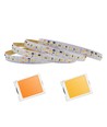 5m 17W/m DimToWarm LED-Streifen RA95 - 24V, IP20, 224 LEDs pro Meter
