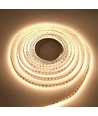 5m 17W/m DimToWarm LED-Streifen RA95 - 24V, IP20, 224 LEDs pro Meter