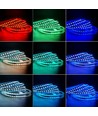 5 Meter 12W/m RGB+WW LED-Streifen - 24V DC, IP65, 60 LEDs pro Meter