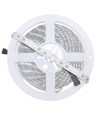 5 Meter 12W/m RGB+WW LED-Streifen - 24V DC, IP65, 60 LEDs pro Meter
