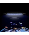 30-50 cm Aquariumleuchte - 6W LED, weiß/blau, verstellbar