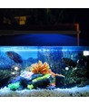 27,5 cm Aquariumlampe - 10W LED, weiß/blau