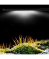 27,5 cm Aquariumlampe - 10W LED, weiß/blau