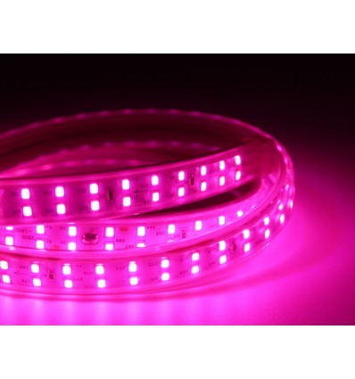 5 m wasserdichter Pflanzen-LED-Streifen - Komplett mit Stecker, 230V, IP67, 180 LEDs, 10W pro Meter