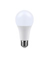 E27 17W LED-Lampe - A65, Cree Chip