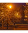 E27 Gartenleuchte auf Mast - Schwarz, IP44 Außen, Aluminium, Höhe: 136,5 cm, ohne Leuchtmittel