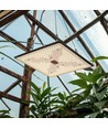 Quantum Wachstumslampe 105W - Inkl. Aufhängung, Vollspektrum, ohne Lüfter, IP65
