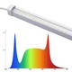 LEDlife Max-Grow 2.0 46W Pflanzenleuchte - 180 cm, Vollspektrum, IP65