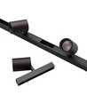 Magnetischer Mini LED Schienenspot - Anthrazit, 1W, Passend für PicoTrack 2 Schienen, RA92, 12V