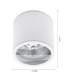 Deckenleuchte AR111, GU10 - IP44, weiß, Aluminium, Aufbau, ohne Leuchtmittel