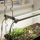 LEDlife Max-Grow 2.0 Pflanzen-Set - 2 x 60 cm, 30W LED, Vollspektrum