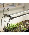 LEDlife Max-Grow 2.0 Pflanzen-Set - 2 x 60 cm, 30W LED, Vollspektrum