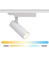 13W Zigbee CCT 1-Phasen Schienenspot - 38 Grad, 1F2W