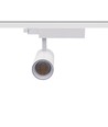 13W Zigbee CCT 1-Phasen Schienenspot - 38 Grad, 1F2W