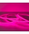 5 m wasserdichter Pflanzen-LED-Streifen - Komplett mit Stecker, 230V, IP67, 180 LEDs, 10W pro Meter