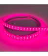 5 m wasserdichter Pflanzen-LED-Streifen - Komplett mit Stecker, 230V, IP67, 180 LEDs, 10W pro Meter