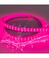 5 m wasserdichter LED-Wachstumsstreifen - 230V, IP67, 180 LEDs, 10W pro Meter