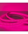5 m wasserdichter LED-Wachstumsstreifen - 230V, IP67, 180 LEDs, 10W pro Meter