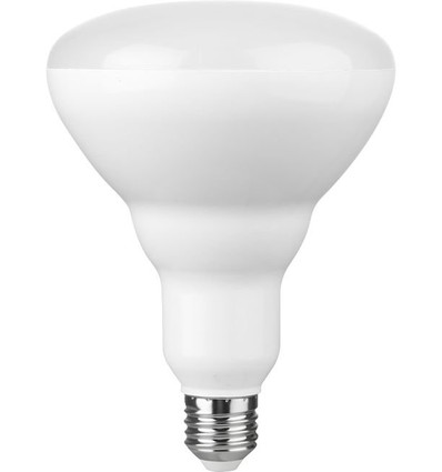 E27 14W dimmbare LED-Lampe - R120, 1300lm, 2700K