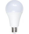 E27 12W LED-Lampe, 12-60V - A70, 1100lm, Opalglas, 3000K, AC/DC