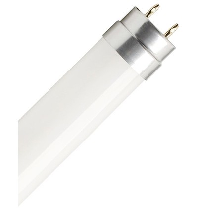 60cm / 8W T8 LED-Röhre - 160lm/W, Glas, Direkt/EVG-kompatibel, 6500K