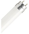 60cm / 8W T8 LED-Röhre - 160lm/W, Glas, Direkt/EVG-kompatibel, 6500K
