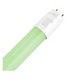60cm / 9W Grünes T8 LED-Röhre - Glas, Direkt/EVG-kompatibel