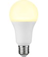 E27 15W LED-Leuchtmittel - A71, 1200lm, Opalglas, 3000K