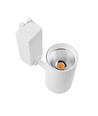 29W 1-Phasen RA98 Schienenstrahler - 110lm/w, weiß, 1F2W