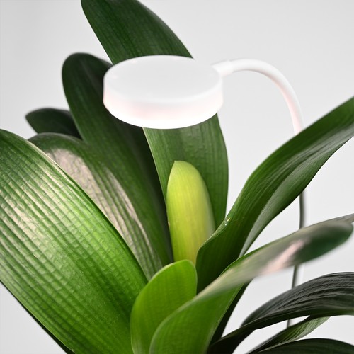 Flexible Pflanzenlampe mit Erdspieß - 12W, Timer
