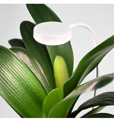 Flexible Pflanzenlampe mit Erdspieß - 12W, Timer