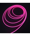 5m 8W pro Meter Pink 8x16 Neon Flex LED - 12V DC, IP67