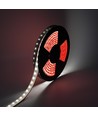 LEDlife 22W/m LED-Streifen - 5m, Wall Washer IP68, 24V, 48 LEDs pro Meter